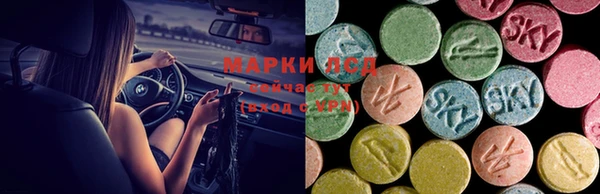 ECSTASY Армянск