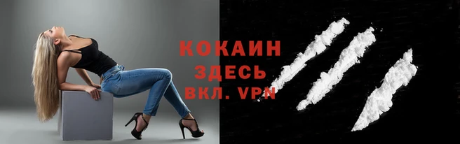 apvp Аркадак