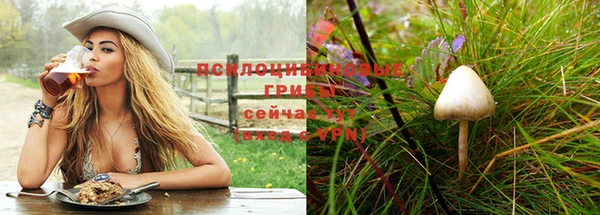 apvp Аркадак