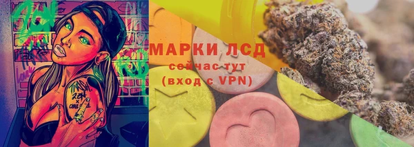 apvp Аркадак