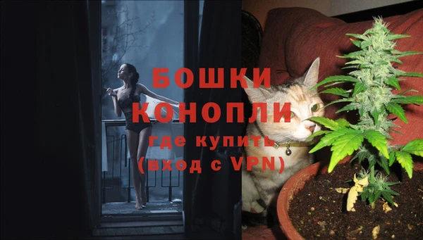 ПСИЛОЦИБИНОВЫЕ ГРИБЫ Сосновоборск