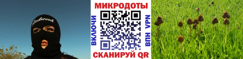 Галлюциногенные грибы мицелий  Аркадак 